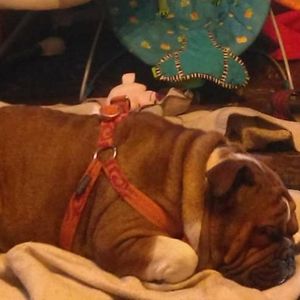 Meet your Posher, James